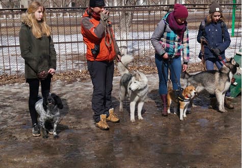 Урок доброты для детей с участием щенка
